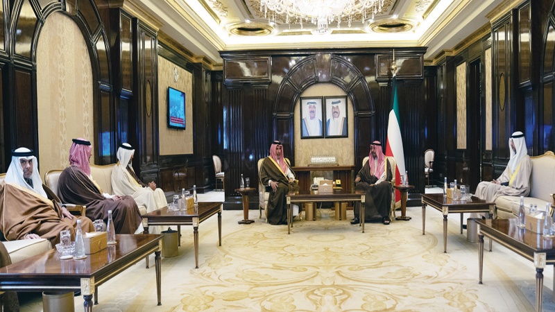 رئيس الوزراء استقبل حمد بن جاسم وأبناءه