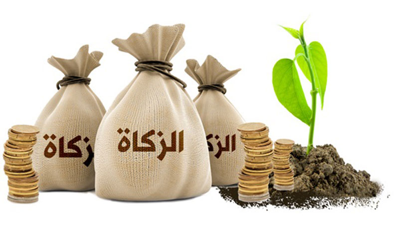 "الإفتاء": تجوز الزكاة للمُعنَّفين أسرياً
