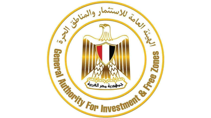 مصر تستهدف زيادة الاستثمارات الأجنبية المباشرة 20%