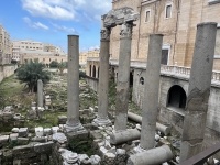 لماذا سميت بيروت بـ "أم الشرائع" ؟