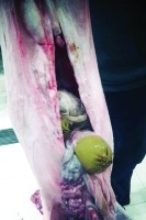 آخر صيحات التهريب من إيران&hellip;"خراف حية محشوة  بالمخدرات للكويت"!