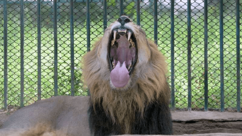 صورة سيلفي تتسبب بمقتل رجل