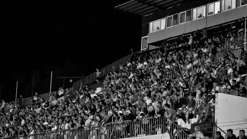 مشجع خيمناسيا يتلقى رصاصة في البطن